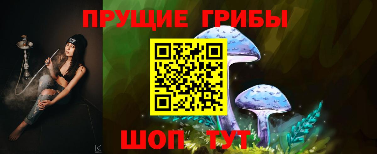 Псилоцибиновые грибы GOLDEN TEACHER  Псилоцибиновые грибы GOLDEN TEACHER  Россошь  Вход с VPN 